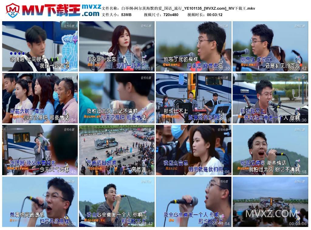 白举纲-阿尔茨海默的爱_国语_流行_YE101135